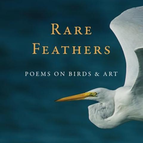 cover of Rare Feathers