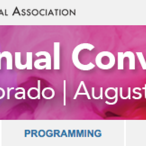 APA convention logo