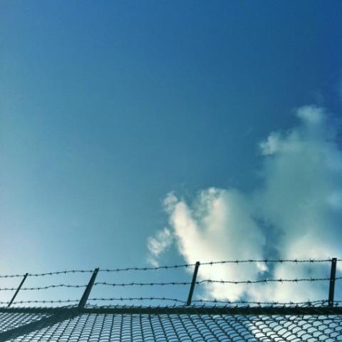 barbed-wire fence and blue sky beyond