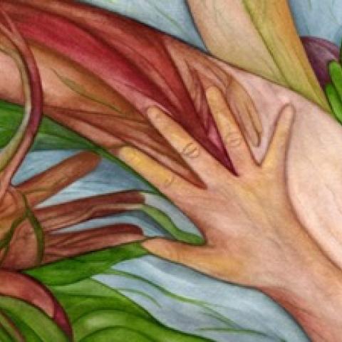 drawing of hands entwined with greenery