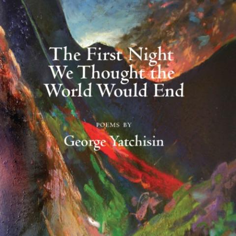 cover of The First Night We Thought the World Would End