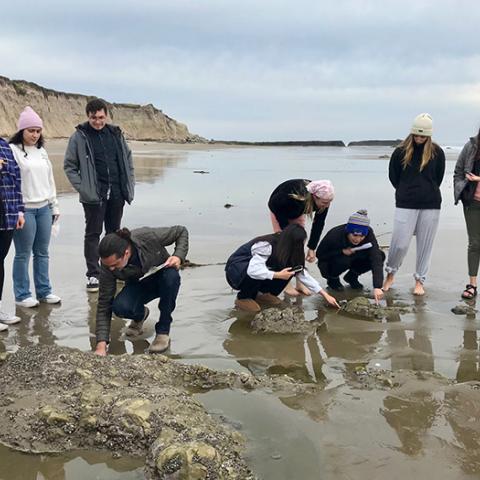 MST students on the beach