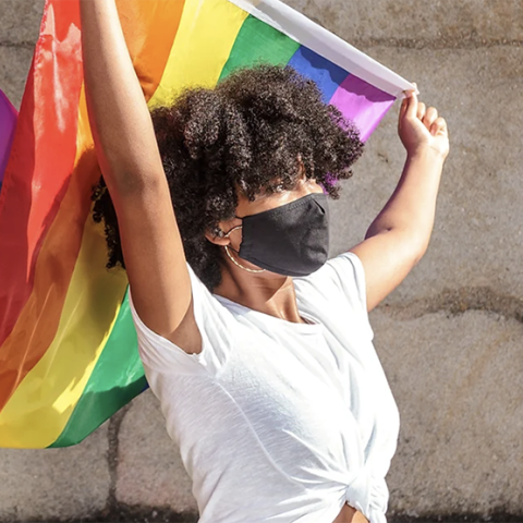 person holding gay pride flag
