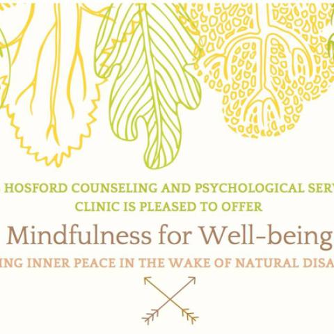 Mindfulness for Well-being