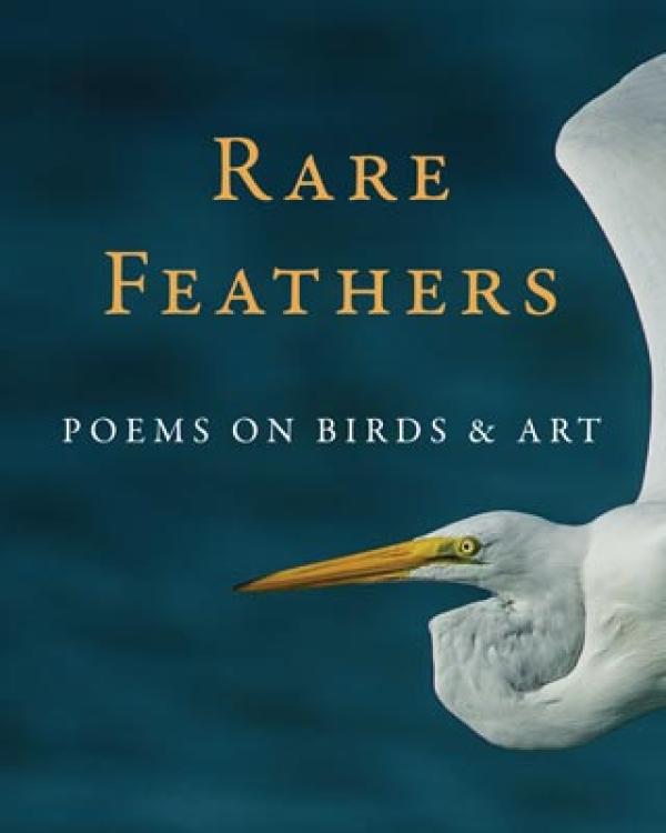cover of Rare Feathers 