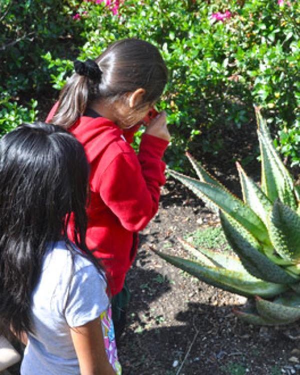 Student photographs aloe 