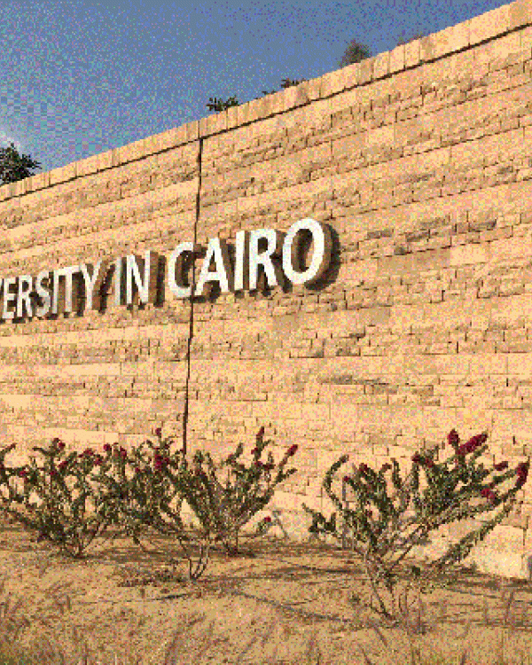 Sign for American University in Cairo 