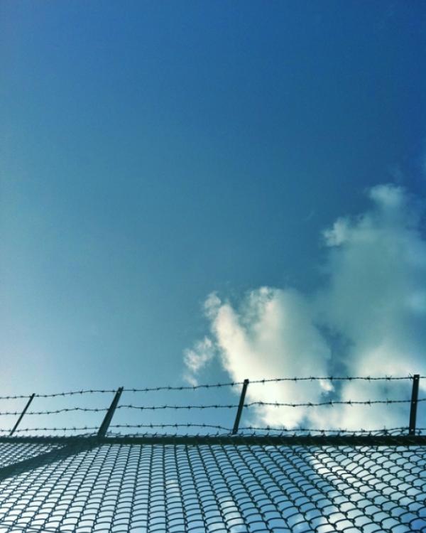 barbed-wire fence and blue sky beyond 