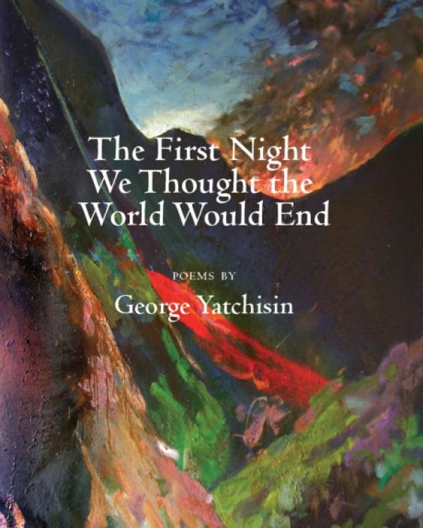cover of The First Night We Thought the World Would End 