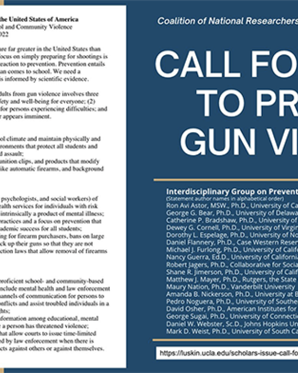 Call for Action to Prevent Gun Violence 