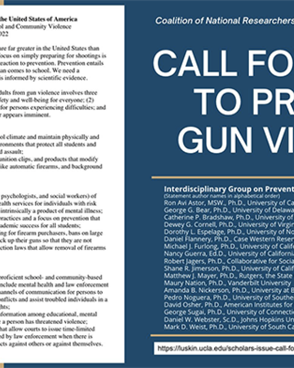 Call for Action to Prevent Gun Violence