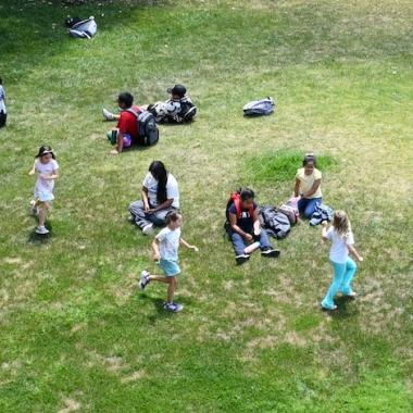 Children playing on green grass lawn